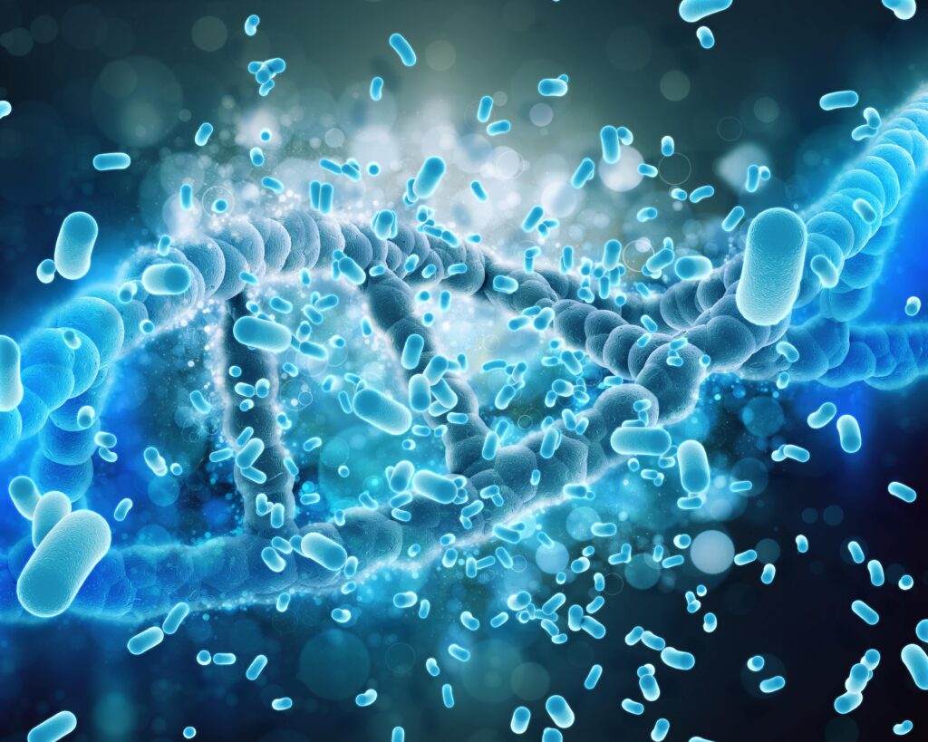 Helicobacter Pylori, vista miscroscópica de la bacteria.